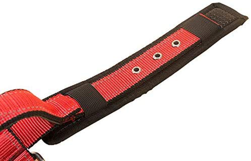 Creation Core 1 Set Adjustable Dog Seat Belt & Dog Collar with Elastic Handle Soft Padded Premium 2 in 1 Reflective Pet Leash - PawsPlanet Australia
