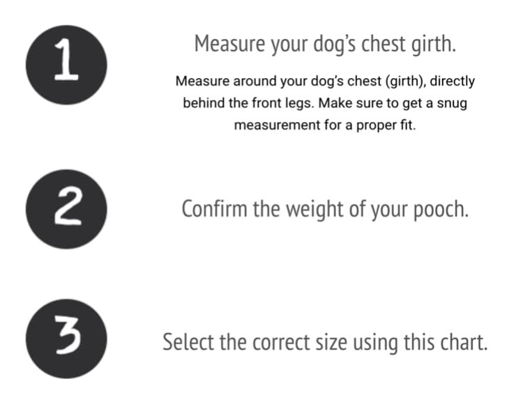 BUDDY BELT Harness Pebble Grain Black - Premium Edition (3) 3 - PawsPlanet Australia