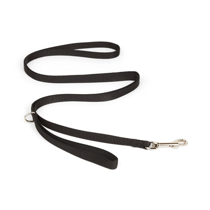 Youly Nylon Dog Leash Black 6-ft Long 1/2-in Wide 6 FT - PawsPlanet Australia