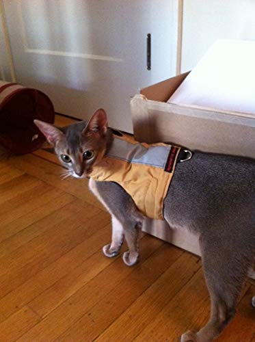 Mynwood Cat Jacket/Harness Caramel Kitten up to 8 month - PawsPlanet Australia