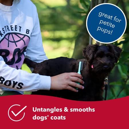 Coastal Pet - Li'l Pals Slicker Brush with Coated Tips and Double-Sided Comb for Small Dogs and Puppies - Bundle - PawsPlanet Australia