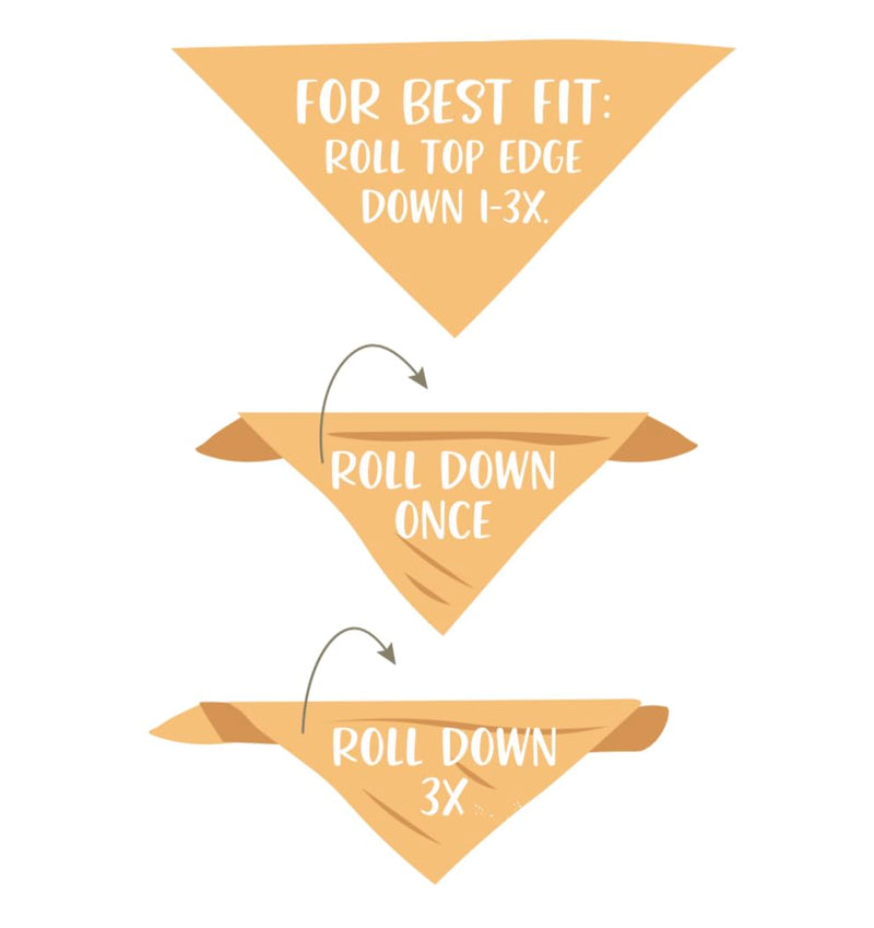 Big Bro Dog Bandana Pregnancy Announcement Baby Announcement to Grandparents (Large) Large - PawsPlanet Australia