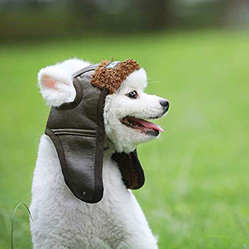 Leconpet Dog Aviator Hat, Dog Winter Pilot Hat with Ear Flaps for Cold Weather (XXL, Black) 2X-Large (Pack of 1)