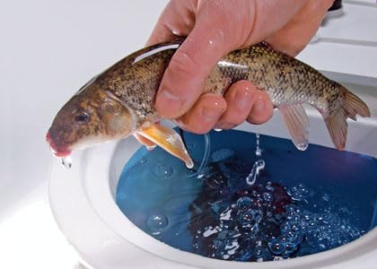 Baitfish Enhancement and Keeping Formula Additive for Minnow Buckets, Livewells and Bait Tanks. Keeps Holding Fish Alive Longer, Healthier, and Improves Performance Levels. - PawsPlanet Australia