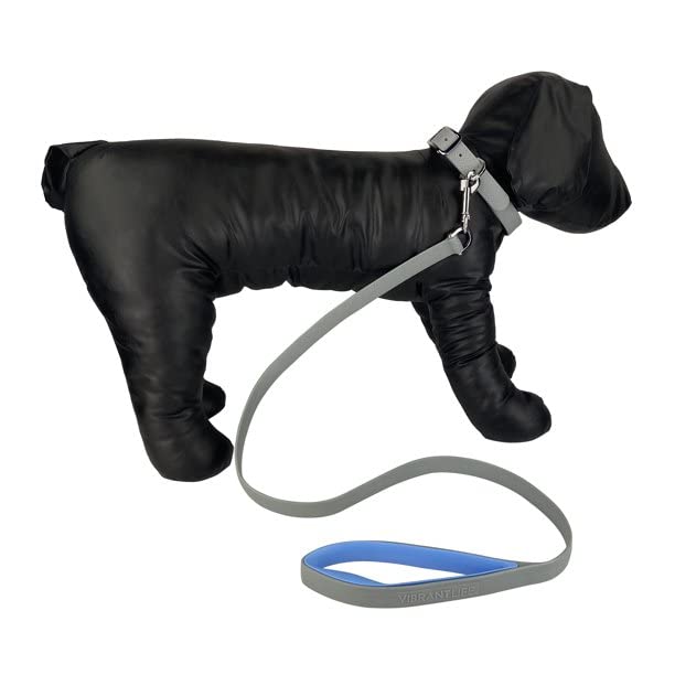 Vibrant Life 4-Foot Dog Leash, Teal and Gray - PawsPlanet Australia