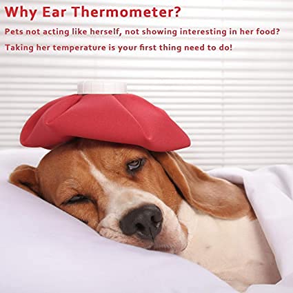 Professional Pet Livestock Thermometer, Fast Digital Veterinary Thermometer, Pet Thermometer for Dogs,Cats, Horse,Cattle,(No Battery) - PawsPlanet Australia