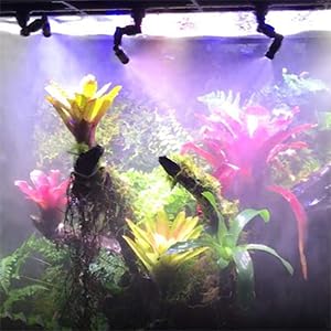 Reptile Mister Nozzles - T Double Misting Assembly，Reptile Misting Nozzles 1/4'', Reptile Fogger Fine Mist Nozzles for Reptile Terrarium, Paludarium, Vivarium, Plants, Amphibians, Tank Double Nozzle Adjustable Focus - PawsPlanet Australia