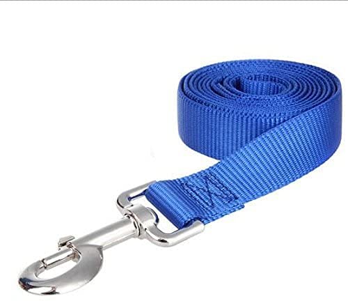Pet Dog Training Leash Strong Durable Nylon Lead 5 Feet Long Dog Pet Puppy Training Obedience Lead Leash 3Pack Set - PawsPlanet Australia