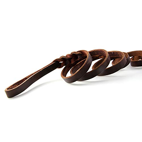 Genuine Leather Dog Leash, Braided Heavy Duty Leash,Soft and Durable for Small Medium Large Dogs Walking and Trainning 5.5 Feet 5.5 feet*1/2" Brown-1/2" - PawsPlanet Australia