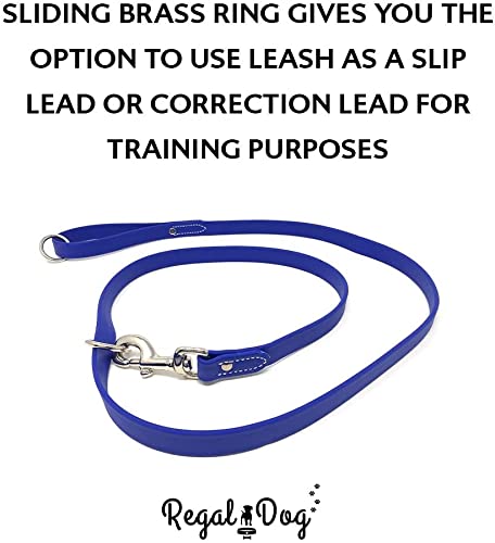 Regal Dog Products Large Blue Waterproof Dog Collar and Leash Set | Heavy Duty Double Buckle & D Ring - 5'ft Leash | Adjustable Biothane Dog Collar | Chew Resistant Waterproof Collar for Dogs Large Collar & Leash