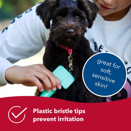 Coastal Pet - Li'l Pals Slicker Brush with Coated Tips and Double-Sided Comb for Small Dogs and Puppies - Bundle - PawsPlanet Australia