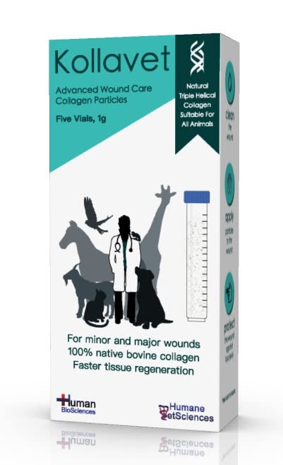 Veterinarian-Recommended Animal Wound Care Dressing for Cats, Dogs, Horses, Reptiles, Pets, and Working Animals (1 Gram Vials) 1 Gram Vials - PawsPlanet Australia