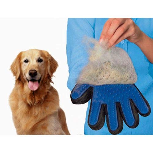 Pet Hair Remover Glove - Gentle Pet Grooming Glove Brush - Deshedding Glove - Massage Mitt with Enhanced Five Finger Design - Perfect for Dogs & Cats with Long & Short Fur - 1 Pack (Right-Hand), Blue - PawsPlanet Australia