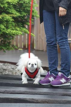 Puppia Soft Dog Harness No Choke Over-The-Head Triple Layered Breathable Mesh Adjustable Chest Belt and Quick-Release Buckle, Brown, Medium - PawsPlanet Australia