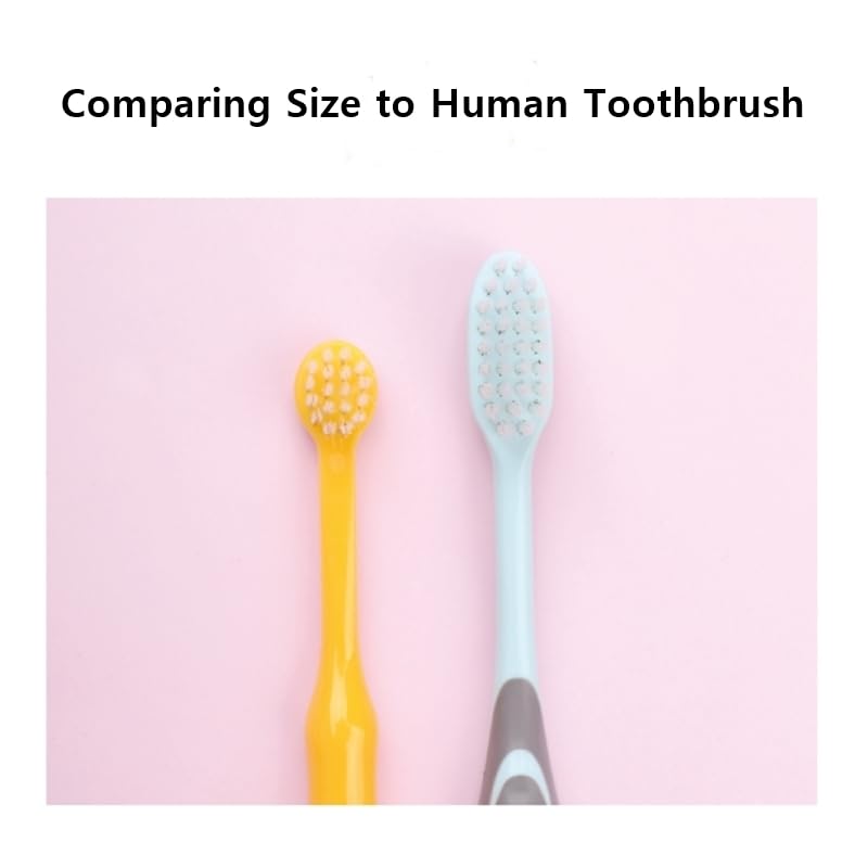 Tiny Small and Medium Dog Toothbrush Made in Korea Toothbrush Bristles That are Soft and Do Not Irritate Your Dog’s Gums Small Toothbrush Grip and Excellent Tartar Removal (4pcs) - PawsPlanet Australia