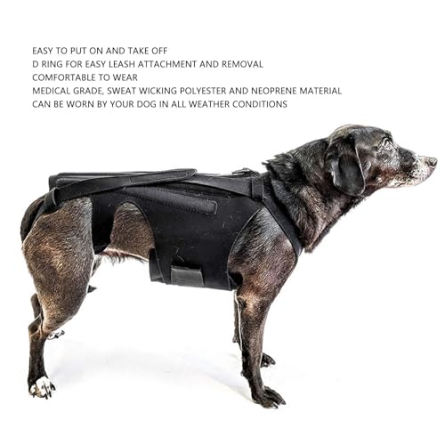 Dog Back Brace, Adjustable Dog Back Brace, Comfortable, Durable Dog Back Brace, Recovery Bandage After Spine Surgery, Herniated Disc (S)