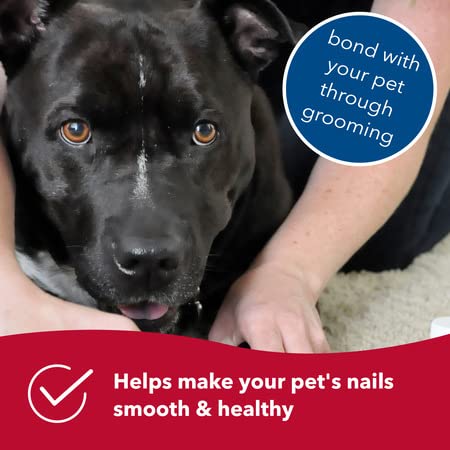 Coastal Pet - Safari Dog Diamond Nail File and Safari Professional Dog Nail Trimmer - Bundle - PawsPlanet Australia