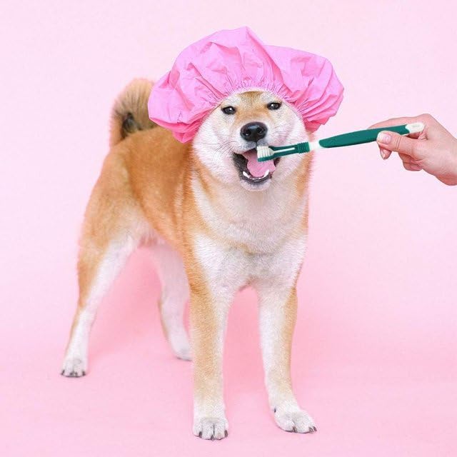 Dog Toothbrush, Triple Headed Toothbrush Dog Toothbrush for Pet Dental Care Health Supplies - PawsPlanet Australia