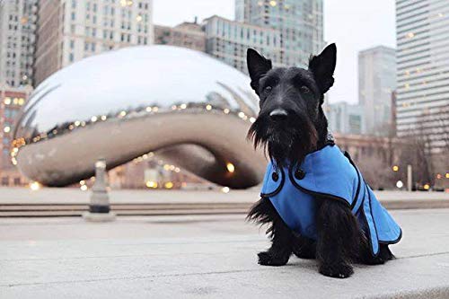 MUTTLUKS, Belted Winter Dog Coat with Waterproof Windproof Breathable Fabric 12 Red - PawsPlanet Australia