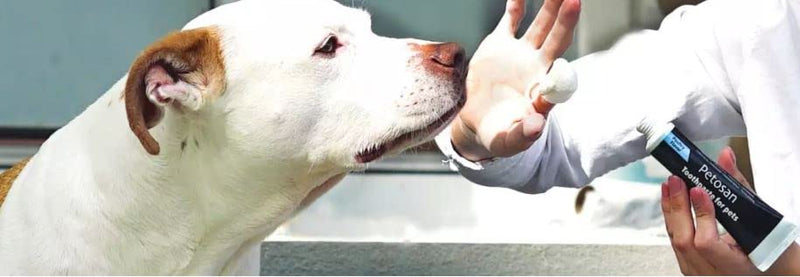 Petosan Poultry Flavor Toothpaste for Pets