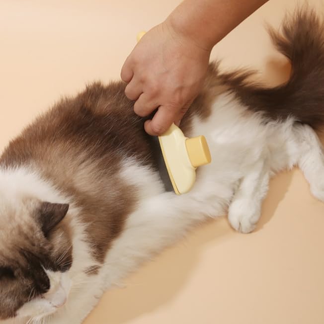 Flea Comb for Cats & Dogs - Dual-Sided Pet Hair Removal Comb with Long/Short Stainless Steel Teeth - Effective Deshedding Brush for Shedding Control & Grooming - PawsPlanet Australia