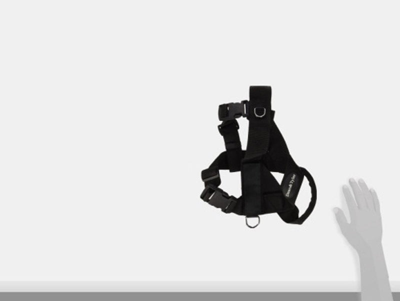 Dean & Tyler DT Universal No Pull Dog Harness - Convertible with Adjustable Straps - Strong Neoprene Nylon - Great Harness For Small - Medium Breeds - Size Small - Will Fit Girth Size 24"- 27" - Stop Your Dog From Pulling. Made in Europe - PawsPlanet Australia