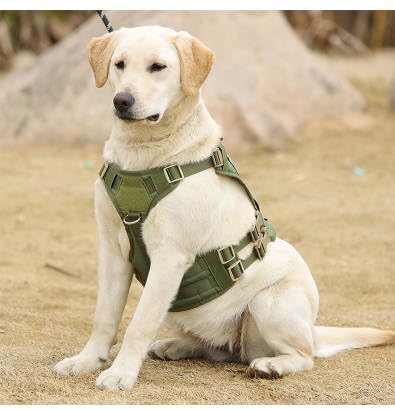 Dog Tactical Vest Harness - for Walking, Training, Camping, Hiking, Hunting – Military Style – Comfortable - Breathable - Reinforced - Very Resistant (Green, Medium) Green - PawsPlanet Australia