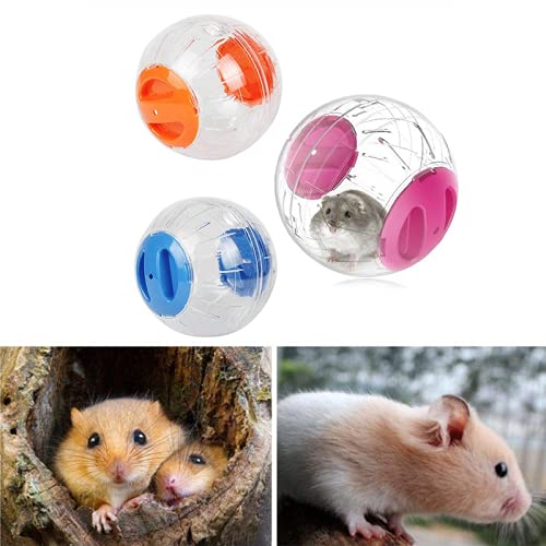 Hamster Exercise Ball Silent Hamster Wheel Small Animals Transparent Ball for Dwar Rat Relieves Boredom and Increases Activity (6 inch, Blue) 6 inch - PawsPlanet Australia