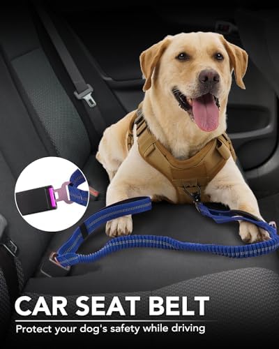 Joytale Tactical Dog Collar(17"-21") and Dog Leash Set, Shock Absorbing Bungee Dog Leash and Adjustable Strong Dog Collar with Handle for Large Dogs(Navyblue, L) - PawsPlanet Australia