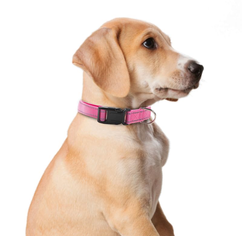 Dog Collar and Leash Set for Small,Medium,and Large Dogs,Ajustable Reflective Nylon Dog Collars and Leashes with Quick Release Buckle,Pink S(Collar+Leash) Small (Collar+Leash) Pink Collar+Leash - PawsPlanet Australia