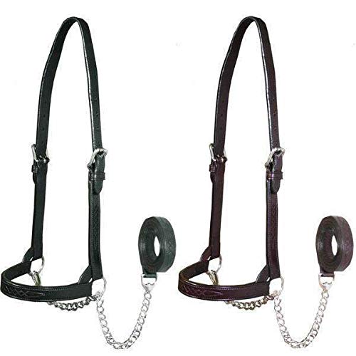 Derby Originals Premium Fancy Stitch Flat Leather Cattle Show Halter – Adjustable Fit with 48" Lead and 14" Chain, Small/Medium/Large – 1-Year Warranty Black Small (350-700lbs)