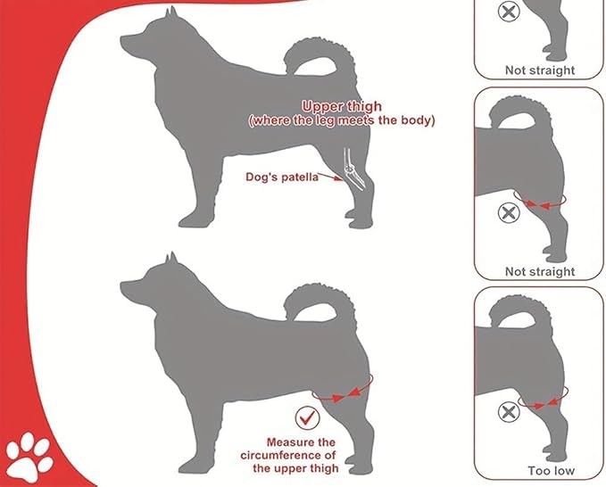 Compressive Back Paw Support Dog Support Joints Hip Protective Band Pets Muscle Stabilizer (S) S