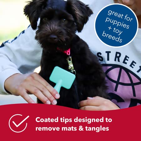 Coastal Pet - Li'l Pals Slicker Brush with Coated Tips and Double-Sided Comb for Small Dogs and Puppies - Bundle - PawsPlanet Australia