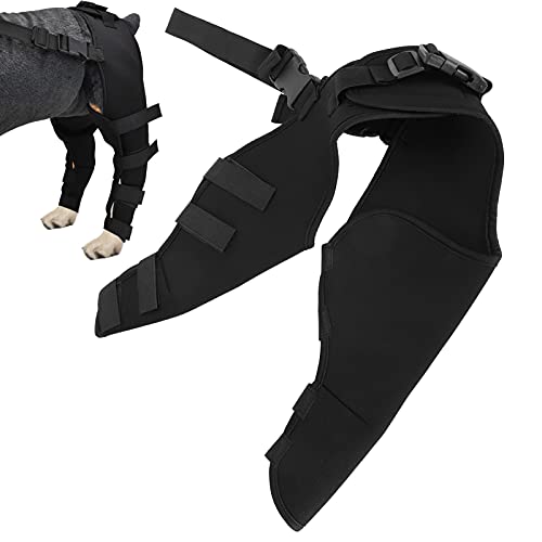 Akozon Pet Dog Knee for Hind Leg Recovery Hip Brace Support Arthritis Right Leg Arthritis Suitable for Small Dogs Such as Yorkshire Terrier (Leggings) HJ25 rear double leggings black XS