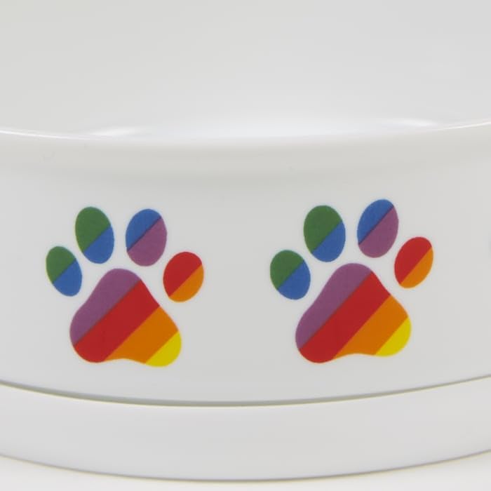 Bone Dry Ceramic Food & Water Bowls for Pets Non-Slip for Secure, Less Messy Feeding, Microwave & Dishwasher Safe, Small Set, 4.25x2, Rainbow Paw, 2 Count Small Set, 4.25x2"
