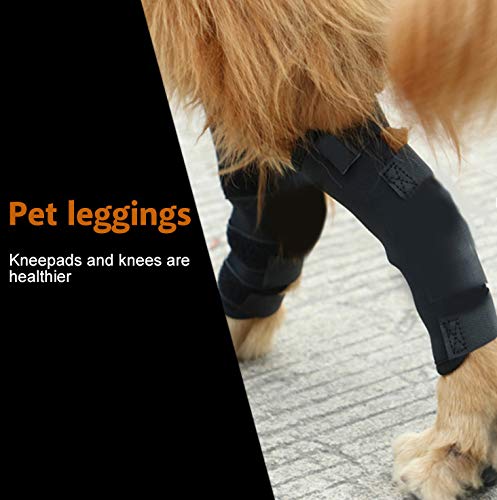 Pssopp Knee Support for Dogs Ankle Protection Bandage 1 Pair Leg Ankle Wrap with Reflective Straps for Front or Rear Leg for Injuries and Sprains, Wound Healing (L) L