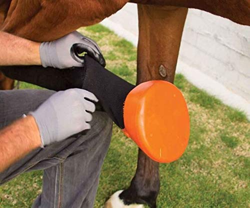 Shires Tubbease Hoof Sock Medium Red - PawsPlanet Australia
