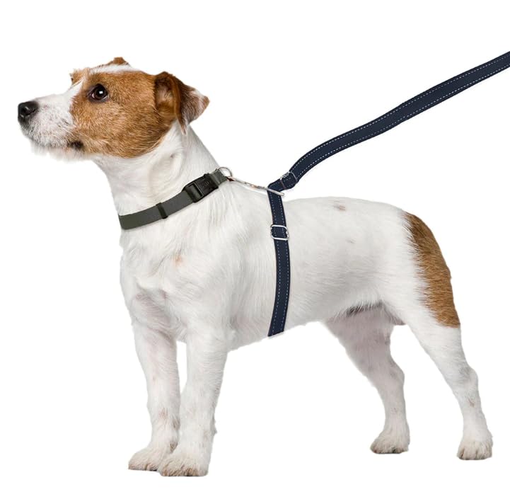 Thunder Leash, Large L
