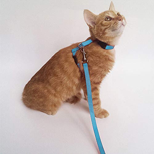 Gizhome 2 Pack Cat Harness and Leash Adjustable Halter Harness Nylon Strap Belt Safety Rope Leads for Kitten, Orange & Light Blue - PawsPlanet Australia