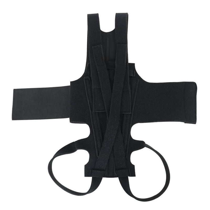 Dog Back Brace for IVDD,Pet Dog Back Brace Comfortable Full Body Harness Dog Clothing Dog Back Protector S