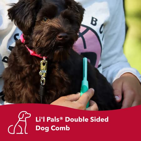Coastal Pet - Li'l Pals Slicker Brush with Coated Tips and Double-Sided Comb for Small Dogs and Puppies - Bundle - PawsPlanet Australia