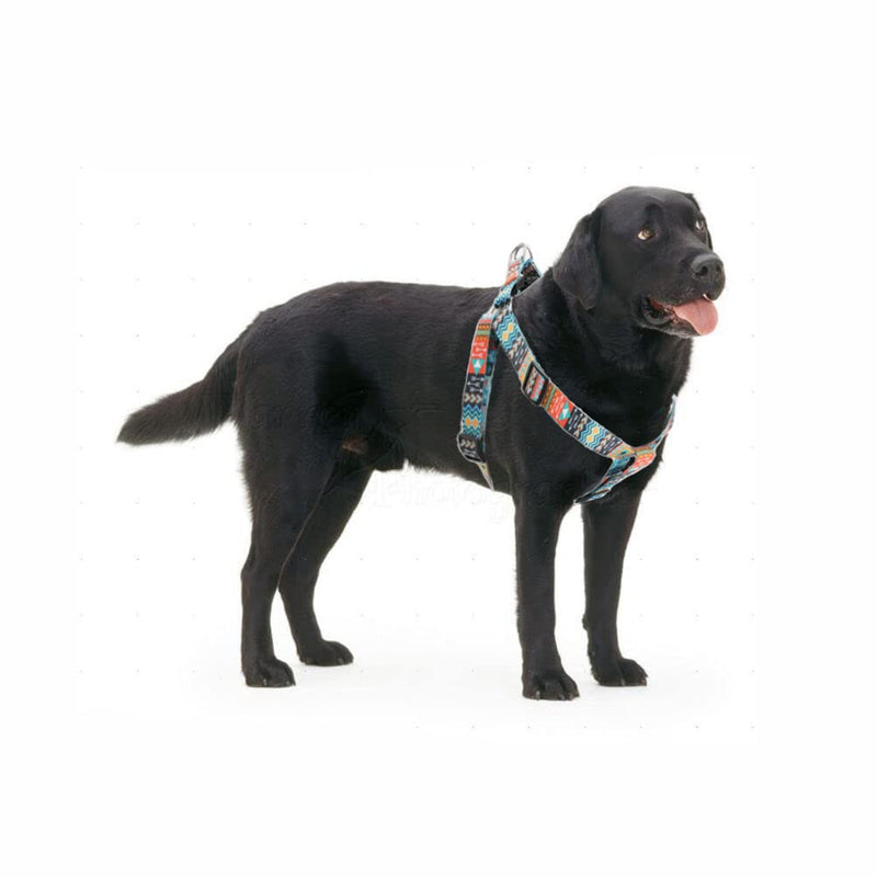 Dog Harness and Leash Set, Pretty Pattern No-Pull Pet Halter Puppy Vest Outdoor Easy Walk for Small Medium Large Breed Pug Bully Mastiff Dogs Female Male, Blue Small S Chest 15.7-23" - PawsPlanet Australia