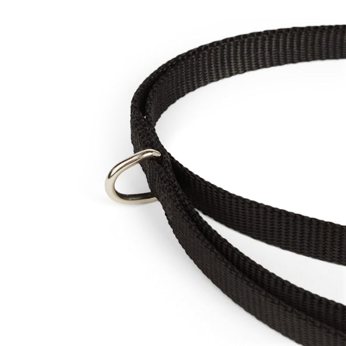 Youly Nylon Dog Leash Black 6-ft Long 1/2-in Wide 6 FT - PawsPlanet Australia