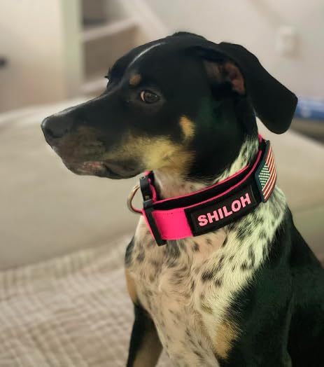 Tactical Dog Collar with Handle - 1.5 Inch Thick Heavy Duty Nylon, Military Style Metal Quick Release Buckle & Integrated D-Ring, for Medium & Large Dogs – Includes USA Flag On Customizable Name Plate adjustable 20-28 inches PINK 20-28 inch