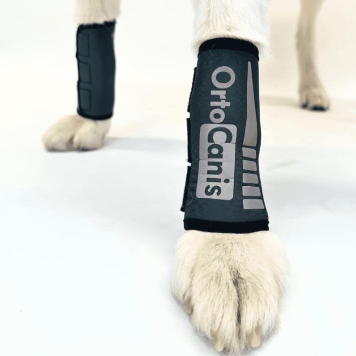 Ortocanis - Dog Leg Brace - Front Leg Brace for Dog - Arthritis, Ligament Injuries, Tendon Injuries or Agility Dogs - Made of Neoprene - Size XL 20-22 cm
