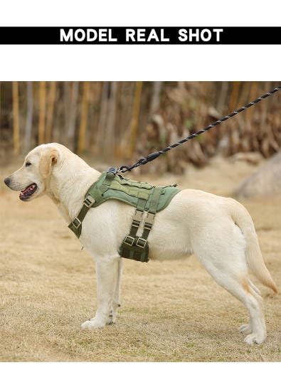 Dog Tactical Vest Harness - for Walking, Training, Camping, Hiking, Hunting – Military Style – Comfortable - Breathable - Reinforced - Very Resistant (Green, Medium) Green - PawsPlanet Australia
