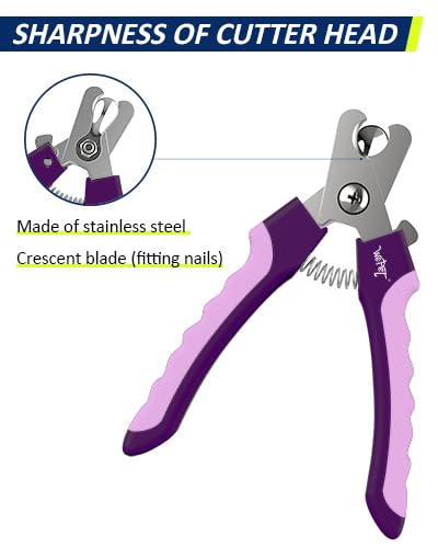 Self-Adhesive Bandage with Dog Scissors Set for Pet Care - PawsPlanet Australia