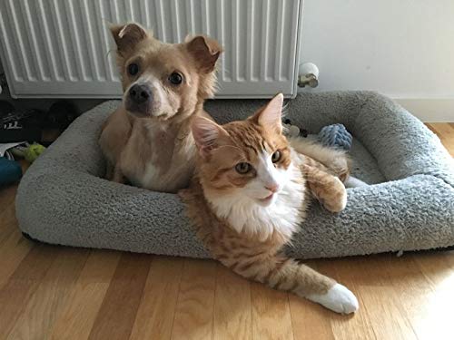 Enjoying Soft Plush Cat Bed Mat 16" x 22" Pet Cushion with Pillow Around for Dogs Cat Curling Sleep Cat Pad for Cat Carrier/Crate Dog Self-Warm Bed, Antiskid Bottom, Medium Square M (41 x 56 cm)