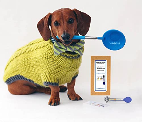PawCheck UTI Test Kit for Dogs, Including an Urinalysis Test Strip and a Reusable P-Scoop Telescopic Urine Collector - PawsPlanet Australia
