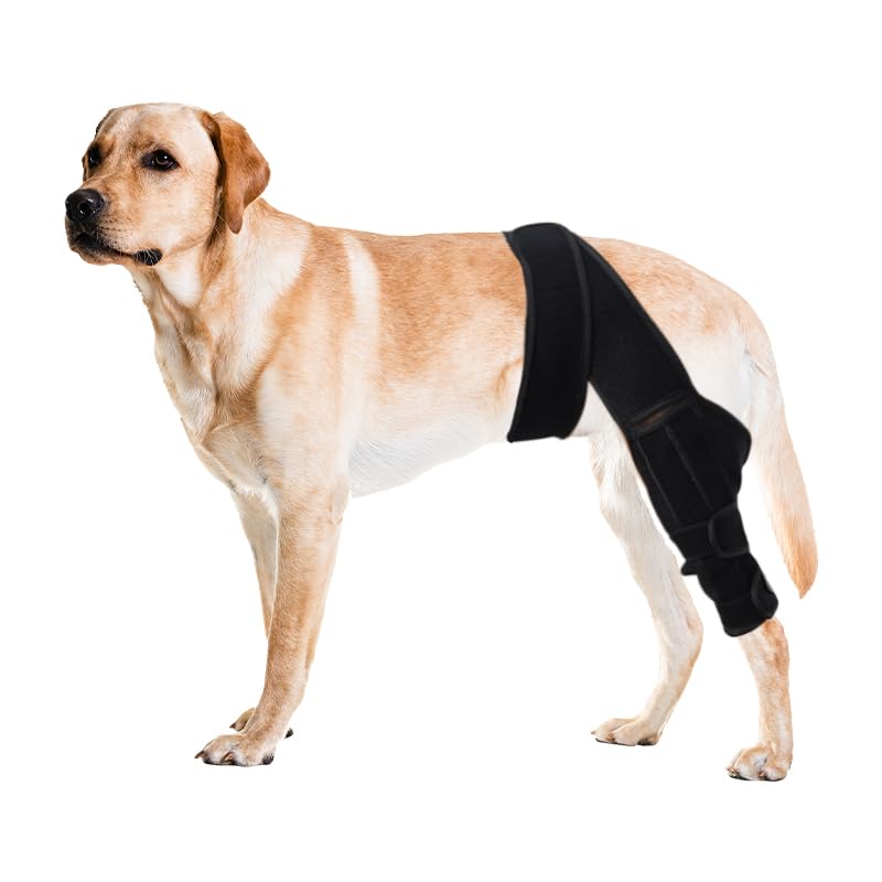 Adjustable Dog Knee Braces for Back Leg Stabilizer Support for ACL Patella Injury Arthritis Post Surgery Recovery(Black M) Medium